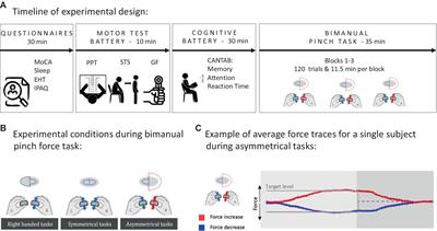 Older and younger adults differ in time course of skill acquisition but not in overall improvement in a bimanual visuomotor tracking task